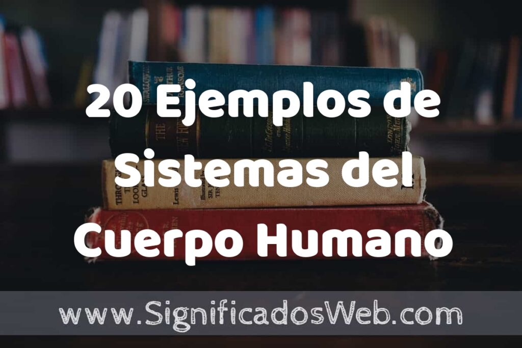 20 Ejemplos de Sistemas del Cuerpo Humano ▶️ Tipos, Definición y Análisis