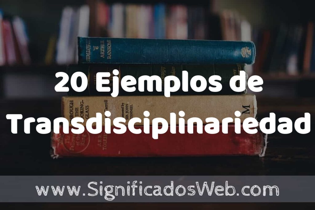 20 Ejemplos de Transdisciplinariedad ▶️ Tipos, Definición y Análisis