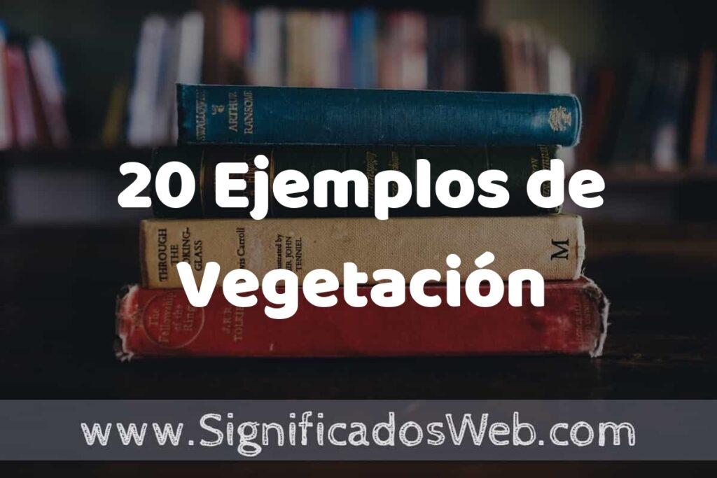 20 Ejemplos de Vegetación ▶️ Tipos, Definición y Análisis