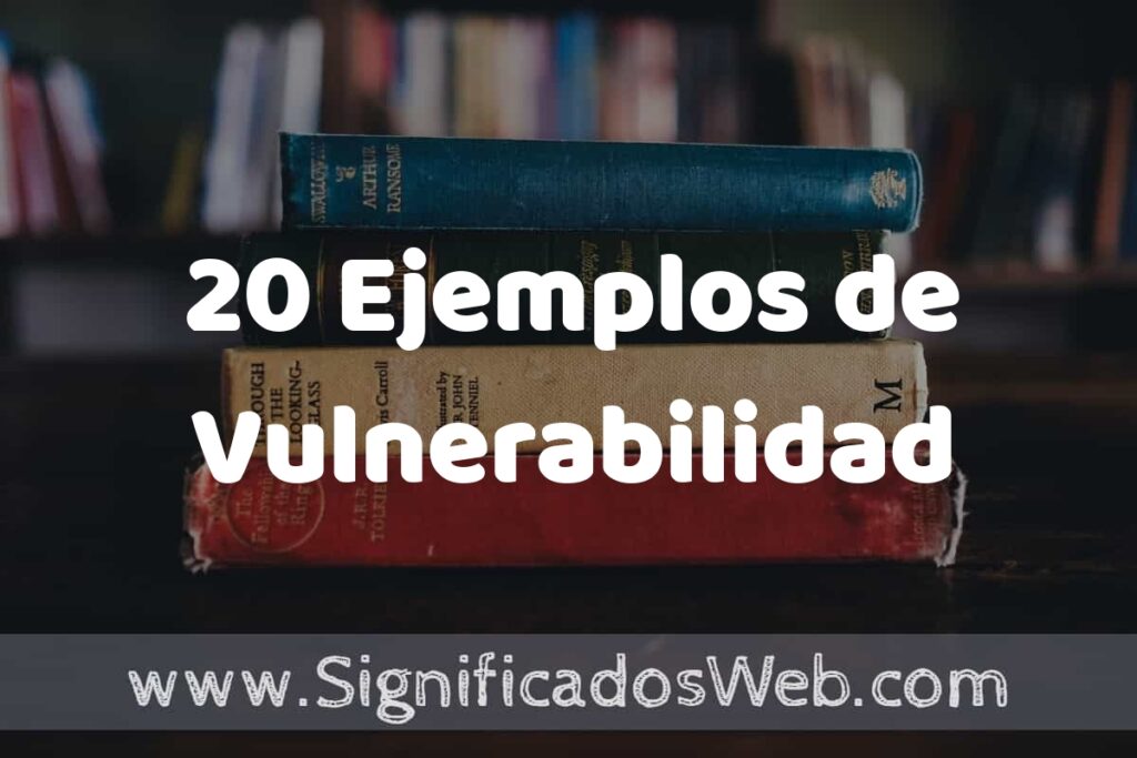 20 Ejemplos de Vulnerabilidad ▶️ Tipos, Definición y Análisis