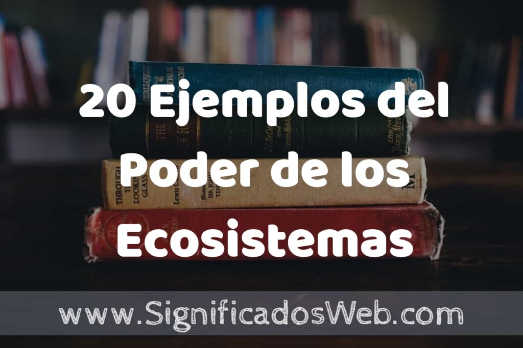 20 Ejemplos del Poder de los Ecosistemas Terrestres ▶️ Tipos, Definición y Análisis