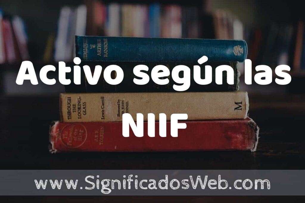 Concepto de Activo según las NIIF ▶️¿Que es? Definición, Significado y EJEMPLOS