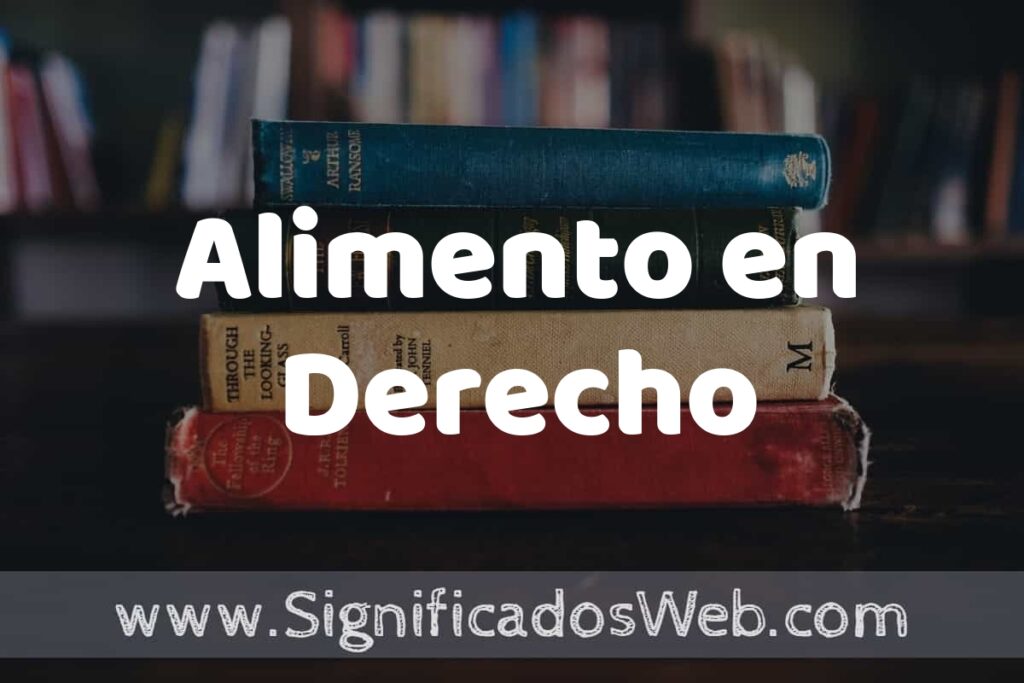 Concepto de Alimento en Derecho ▶️¿Que es? Definición, Significado y EJEMPLOS