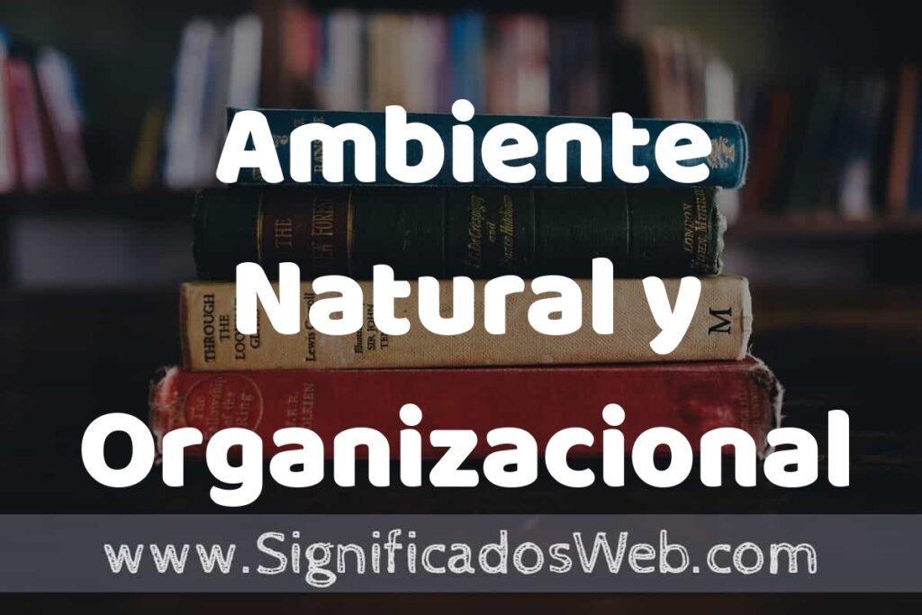 Concepto de Ambiente Natural y Organizacional ▶️¿Que es? Definición, Significado y EJEMPLOS