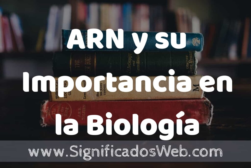 Concepto de ARN y su Importancia en la Biología ▶️¿Que es? Definición, Significado
