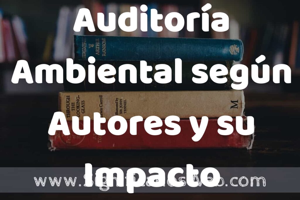 Concepto de Auditoría Ambiental según Autores y su Impacto en la Sostenibilidad ▶️¿Que