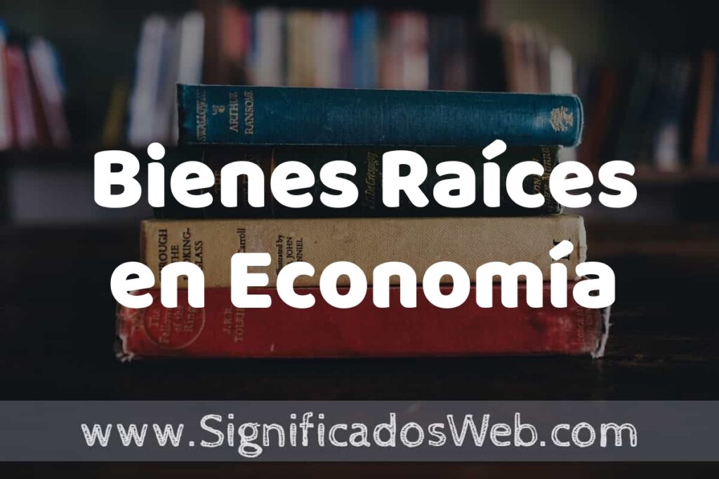 Concepto de Bienes Raíces en Economía ▶️¿Que es? Definición, Significado y EJEMPLOS