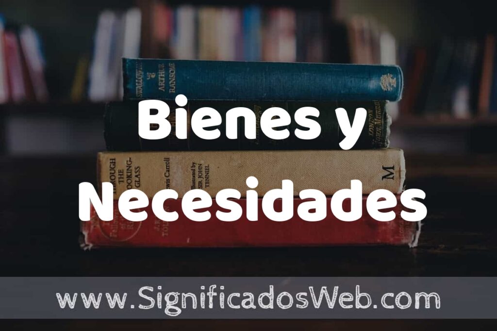 Concepto de Bienes y Necesidades ▶️¿Que es? Definición, Significado y EJEMPLOS