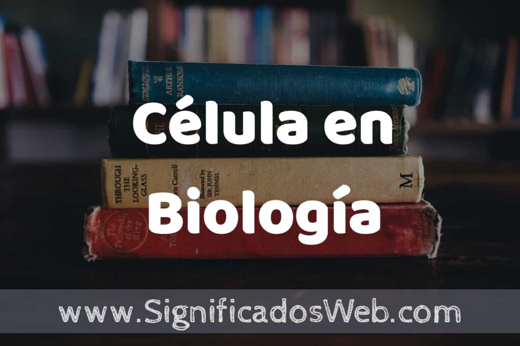 Concepto de Célula en Biología ▶️¿Que es? Definición, Significado y EJEMPLOS