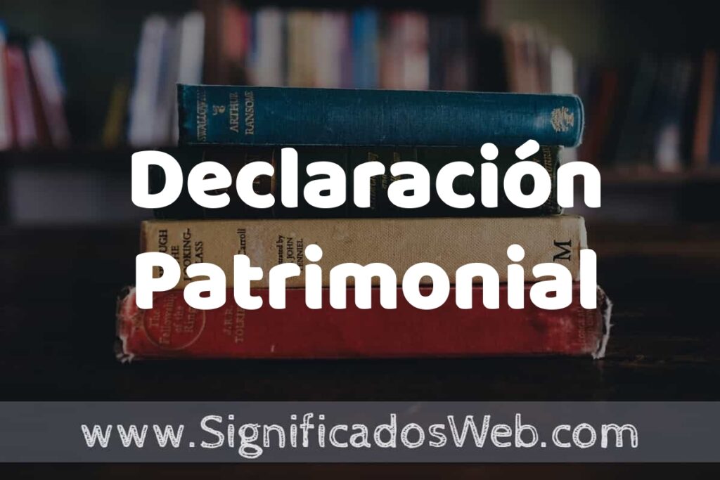 Concepto de Declaración Patrimonial ▶️¿Que es? Definición, Significado y EJEMPLOS
