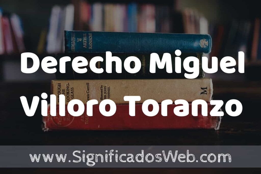 Concepto de Derecho Miguel Villoro Toranzo ▶️¿Que es? Definición, Significado y EJEMPLOS