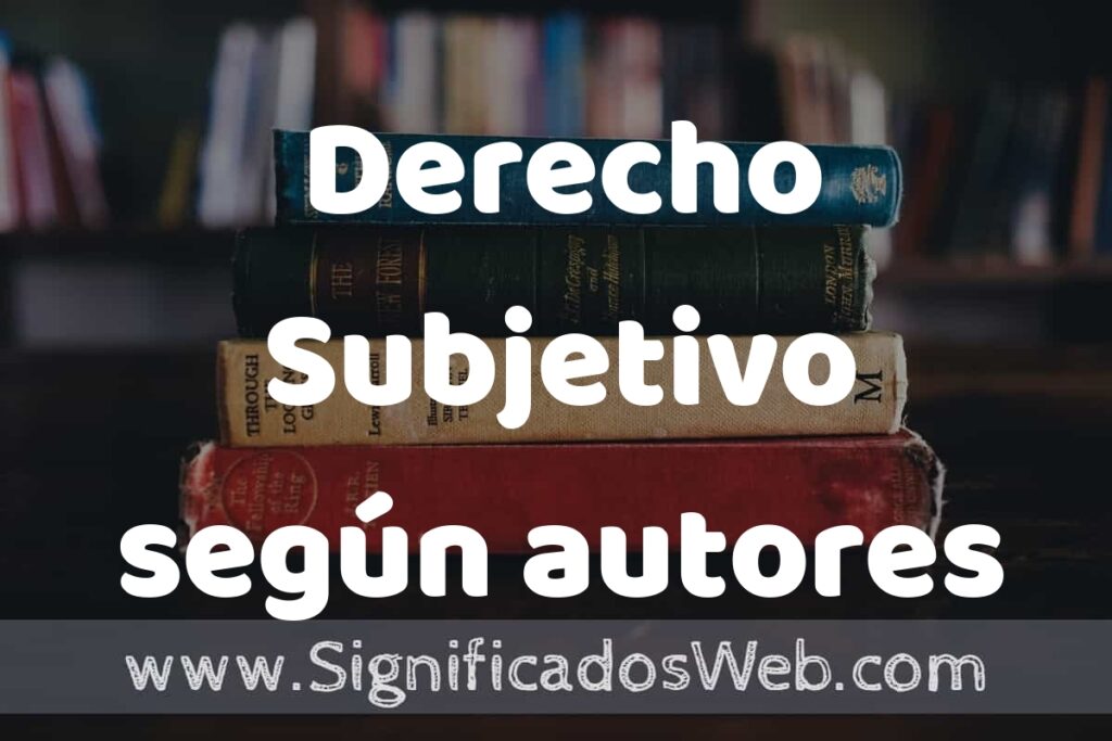 Concepto de Derecho Subjetivo según autores ▶️¿Que es? Definición, Significado y EJEMPLOS