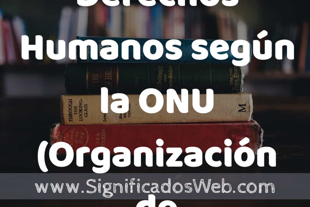 Concepto de Derechos Humanos según la ONU (Organización de las Naciones Unidas) ▶️¿Que