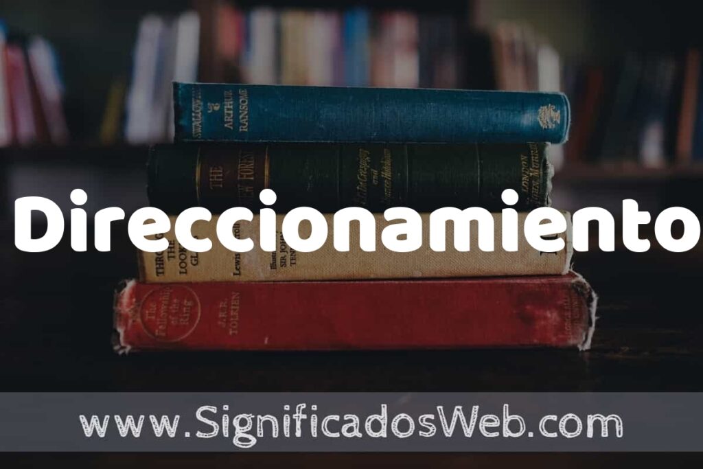 Concepto de Direccionamiento ▶️¿Que es? Definición, Significado y EJEMPLOS