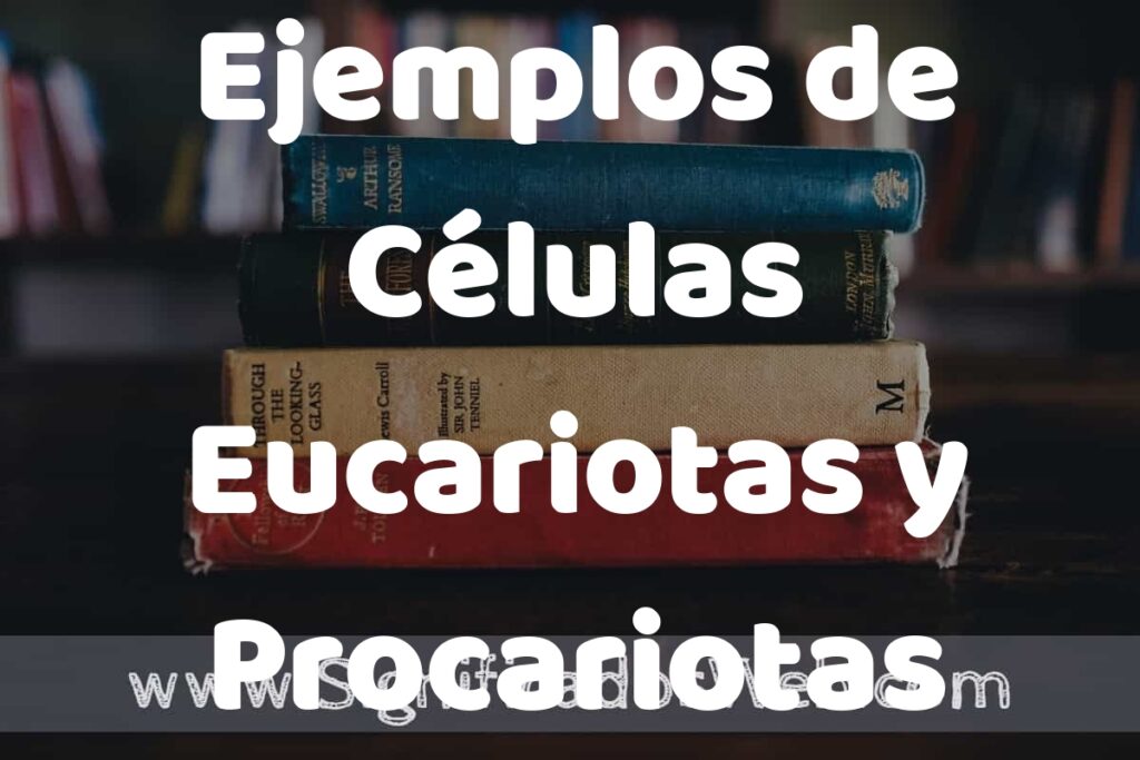 50 Ejemplos de Células Eucariotas y Procariotas ▶️ Características, ¿que es? COMO USAR
