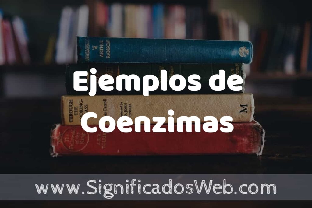 25 Ejemplos de Coenzimas ▶️ ¿que es? Características y COMO USAR