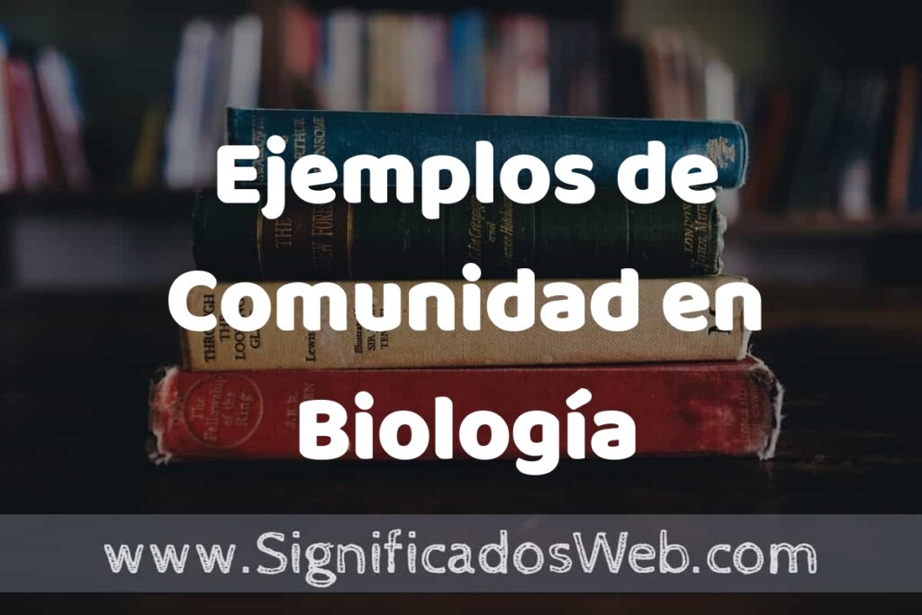 25 Ejemplos de Comunidad en Biología ▶️ ¿que es? Características y COMO USAR
