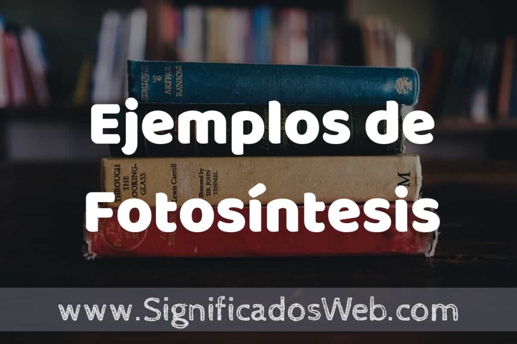 50 Ejemplos de Fotosíntesis ▶️ Características, ¿que es? COMO USAR