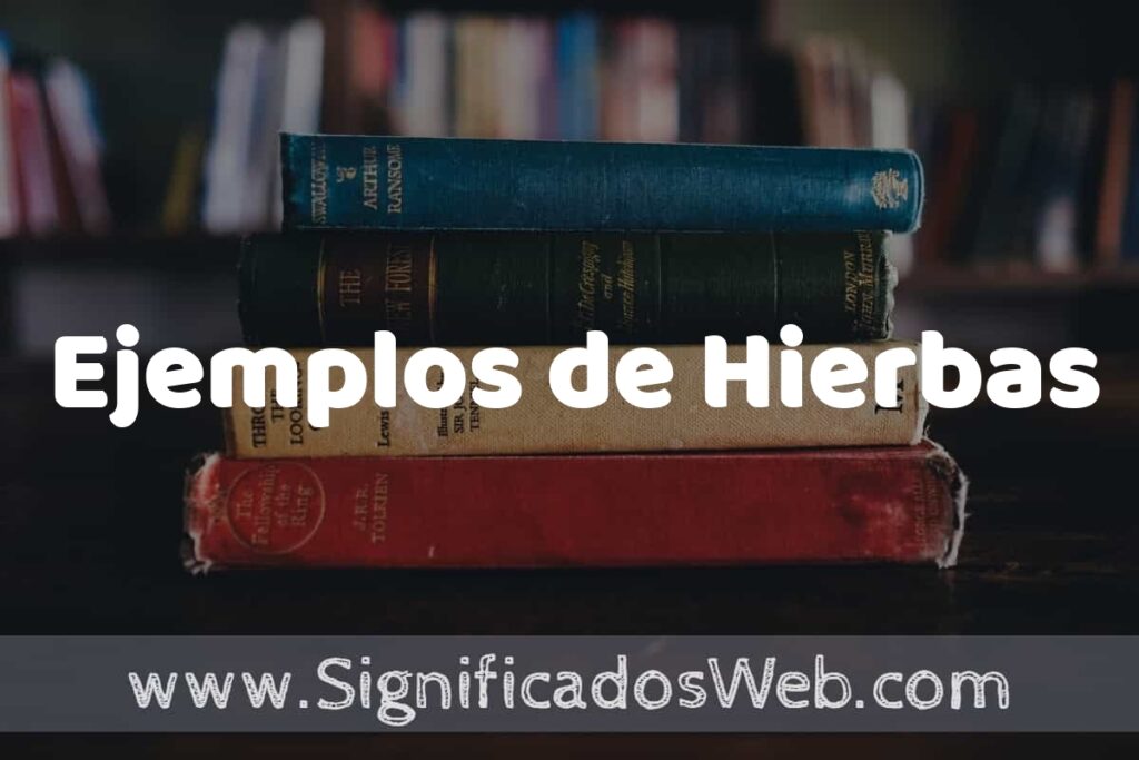 25 Ejemplos de Hierbas ▶️ ¿que es? Características y COMO USAR