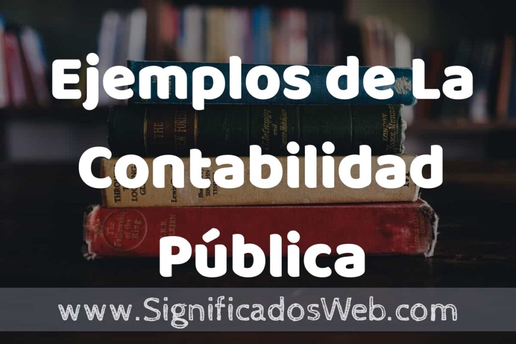 50 Ejemplos de La Contabilidad Pública ▶️ Características, ¿que es? COMO USAR