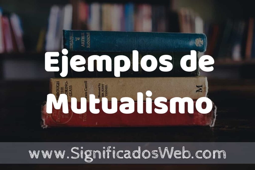50 Ejemplos de Mutualismo ▶️ Características, ¿que es? COMO USAR