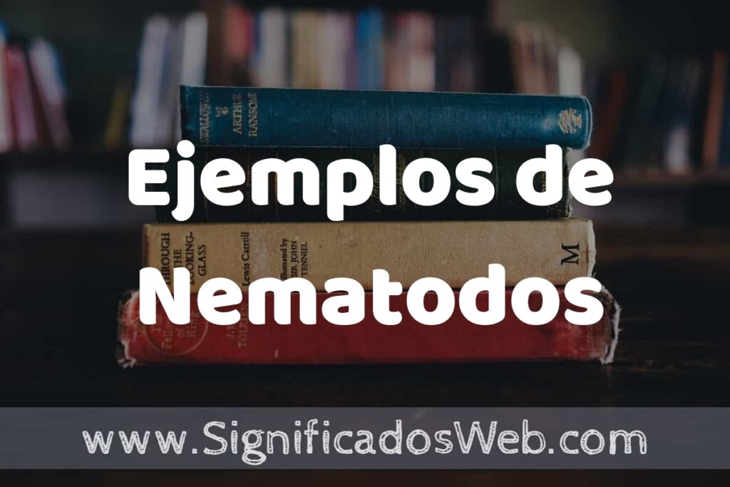 50 Ejemplos de Nematodos ▶️ Características, ¿que es? COMO USAR