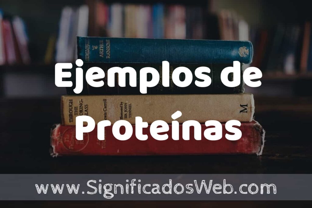 50 Ejemplos de Proteínas ▶️ Características, ¿que es? COMO USAR
