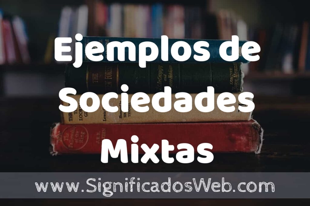 50 Ejemplos de Sociedades Mixtas ▶️ Características, ¿que es? COMO USAR