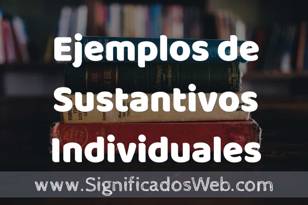 50 Ejemplos de Sustantivos Individuales ▶️ Características, ¿que es? COMO USAR