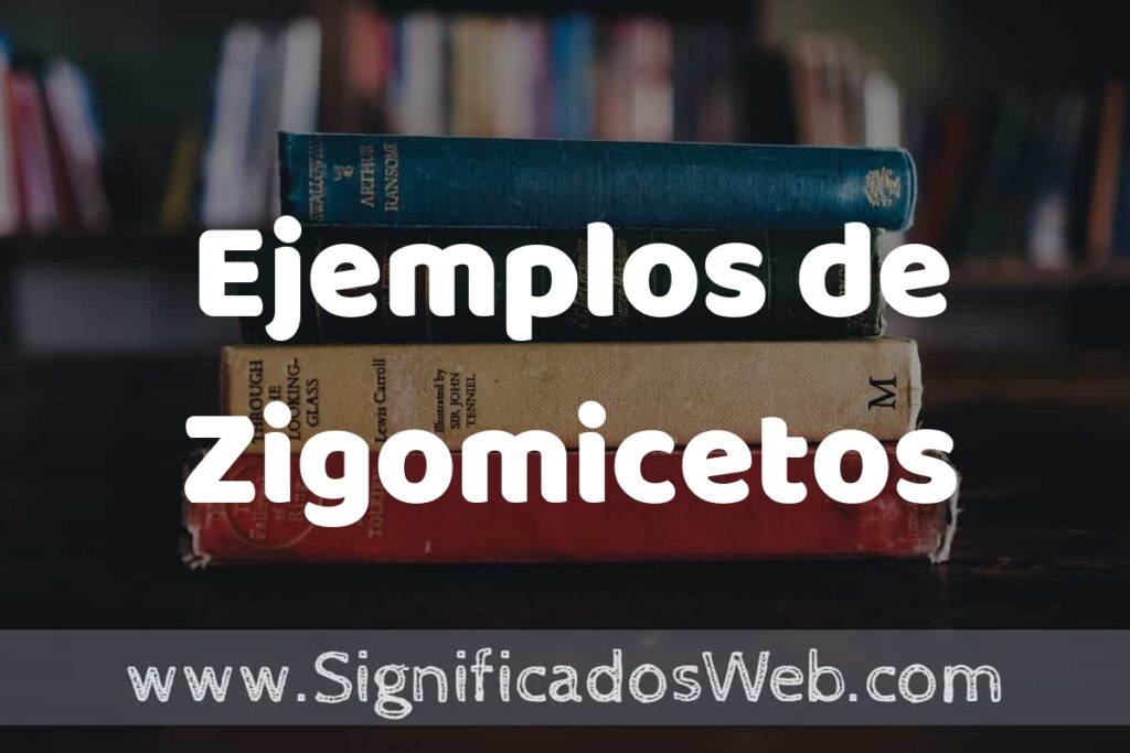 50 Ejemplos de Zigomicetos ▶️ Características, ¿que es? COMO USAR