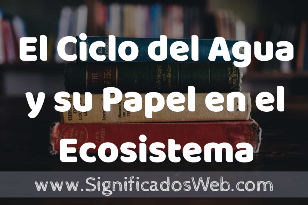Concepto de El Ciclo del Agua y su Papel en el Ecosistema Terrestre