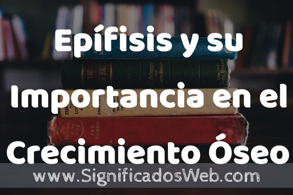 Concepto de Epífisis y su Importancia en el Crecimiento Óseo ▶️¿Que es? Definición,