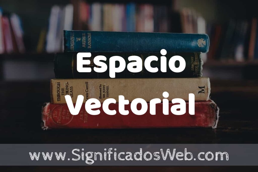 Concepto de Espacio Vectorial ▶️¿Que es? Definición, Significado y EJEMPLOS