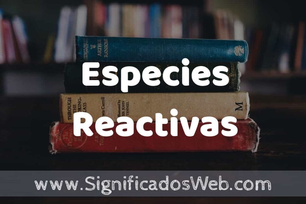 Concepto de Especies Reactivas ▶️¿Que es? Definición, Significado y EJEMPLOS