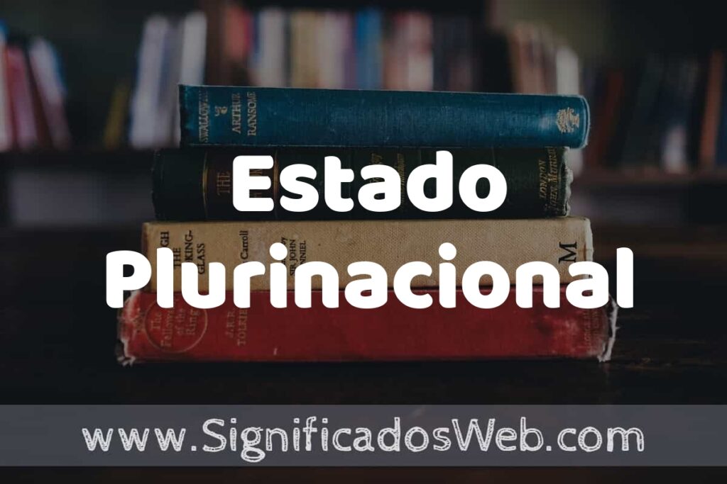 Concepto de Estado Plurinacional ▶️¿Que es? Definición, Significado y EJEMPLOS