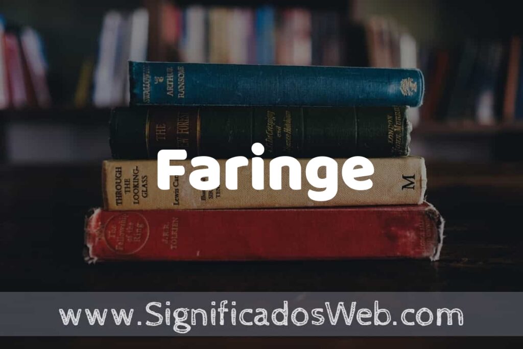 Concepto de Faringe ▶️¿Que es? Definición, Significado y EJEMPLOS
