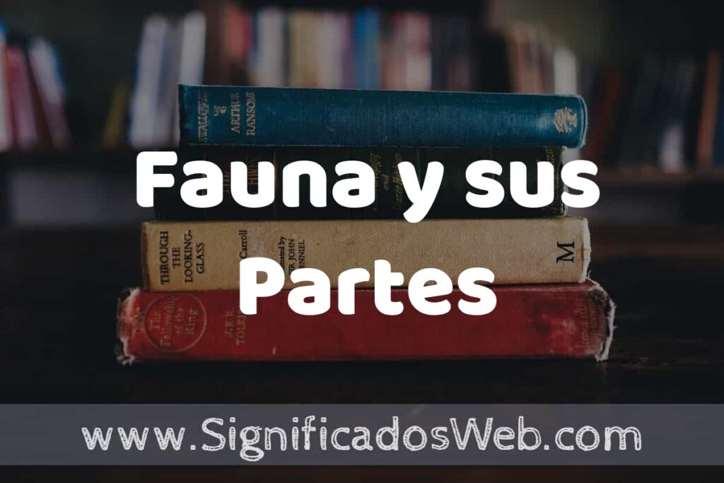 Concepto de Fauna y sus Partes ▶️¿Que es? Definición, Significado y EJEMPLOS