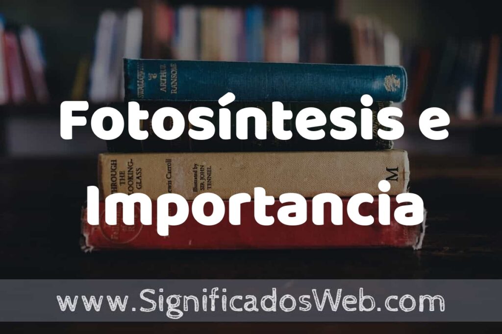 Concepto de Fotosíntesis e Importancia ▶️¿Que es? Definición, Significado y EJEMPLOS