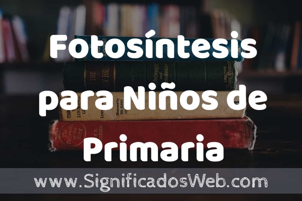 Concepto de Fotosíntesis para Niños de Primaria ▶️¿Que es? Definición, Significado y EJEMPLOS