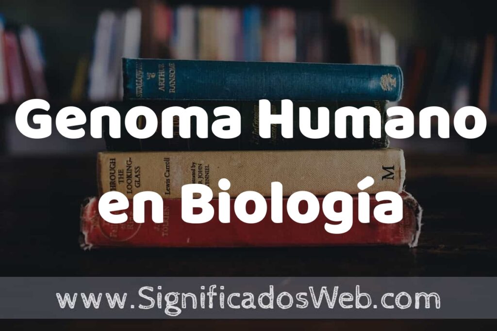 Concepto de Genoma Humano en Biología ▶️¿Que es? Definición, Significado y EJEMPLOS