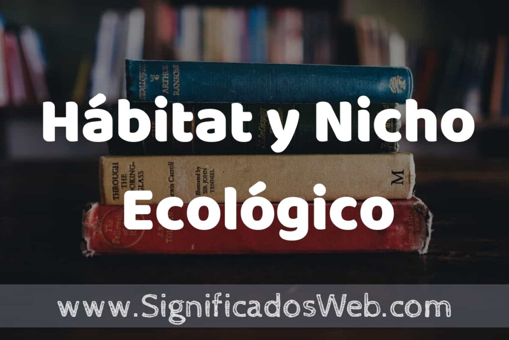 Concepto de Hábitat y Nicho Ecológico ▶️¿Que es? Definición, Significado y EJEMPLOS