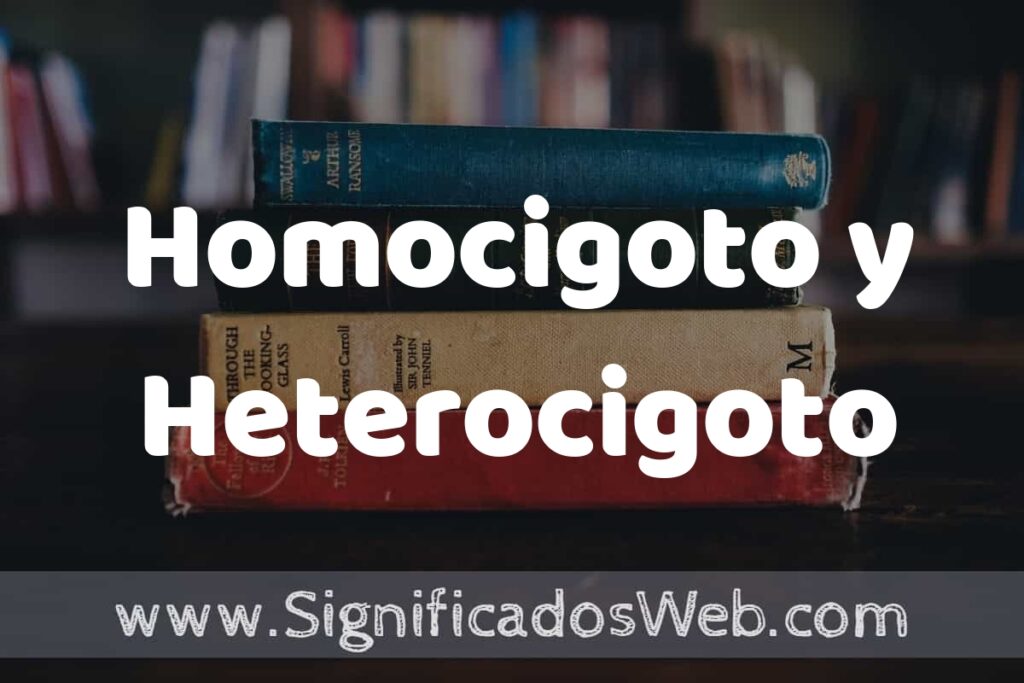 Concepto de Homocigoto y Heterocigoto ▶️¿Que es? Definición, Significado y EJEMPLOS