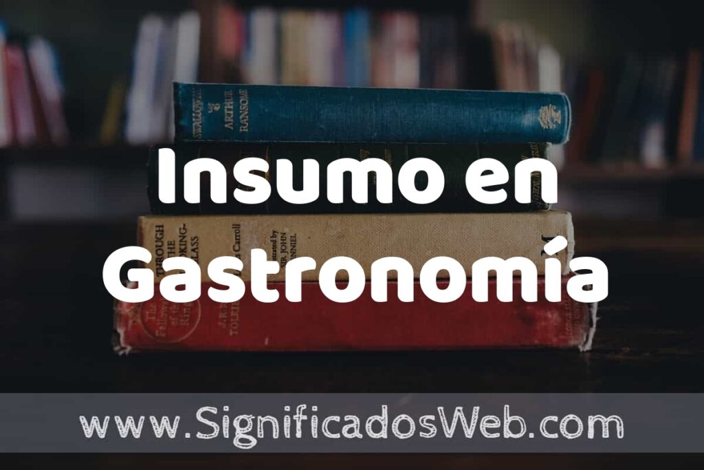 Concepto de Insumo en Gastronomía ▶️¿Que es? Definición, Significado y EJEMPLOS