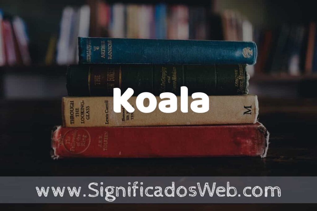 Concepto de Koala ▶️¿Que es? Definición, Significado y EJEMPLOS