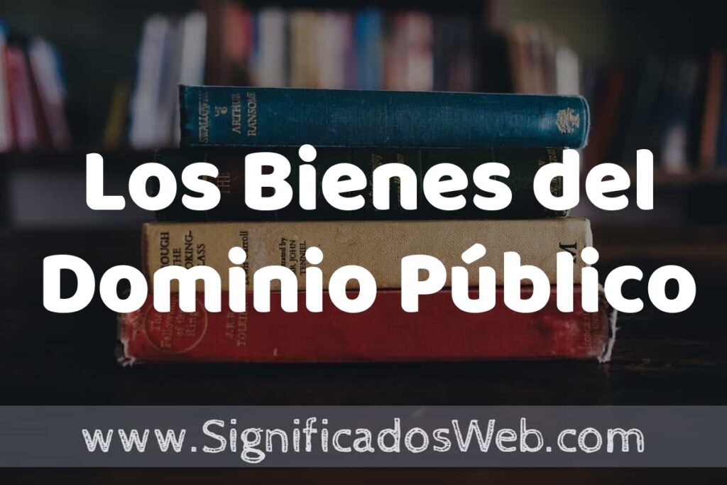 Concepto de Los Bienes del Dominio Público ▶️¿Que es? Definición, Significado y EJEMPLOS
