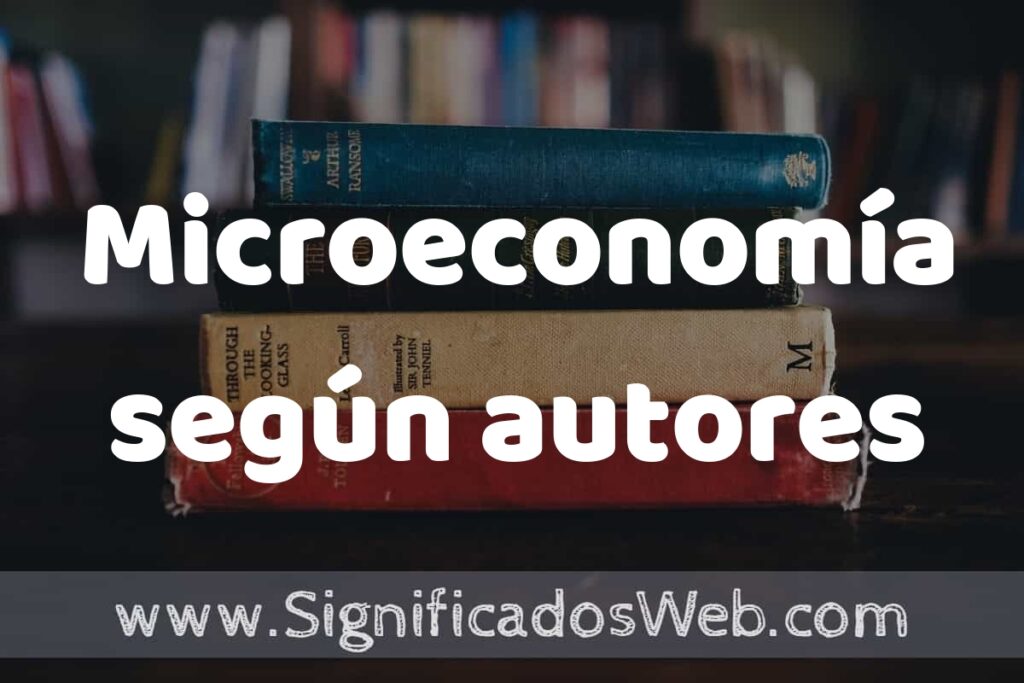 Concepto de Microeconomía según autores ▶️¿Que es? Definición, Significado y EJEMPLOS