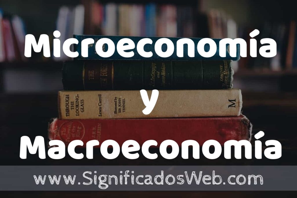 Concepto de Microeconomía y Macroeconomía ▶️¿Que es? Definición, Significado y EJEMPLOS