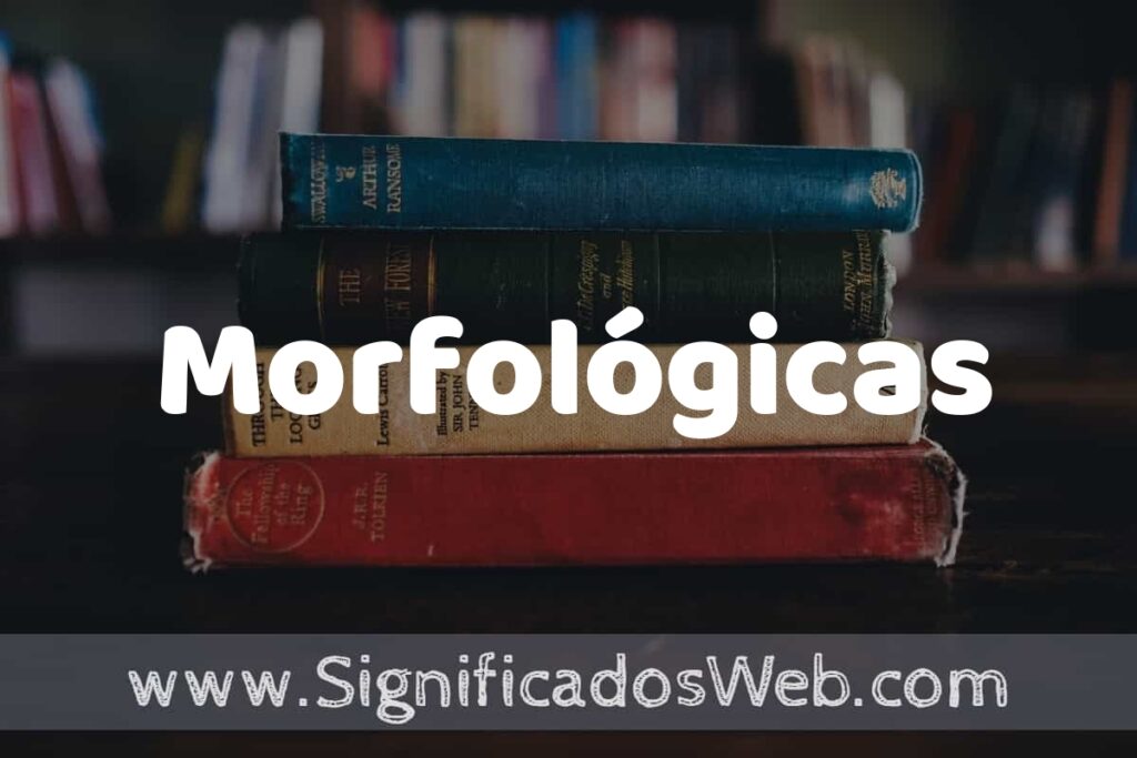 Concepto de Morfológicas ▶️¿Que es? Definición, Significado y EJEMPLOS