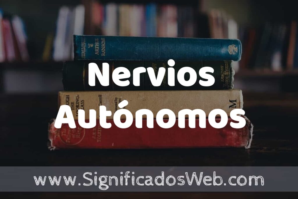 Concepto de Nervios Autónomos ▶️¿Que es? Definición, Significado y EJEMPLOS