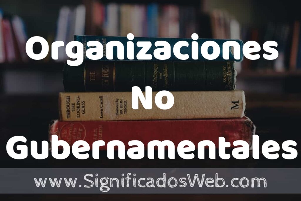 Concepto de Organizaciones No Gubernamentales ▶️¿Que es? Definición, Significado y EJEMPLOS